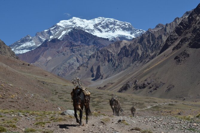 Trekking to Confluencia, Aconcagua First Base Camp - Cancellation Policy