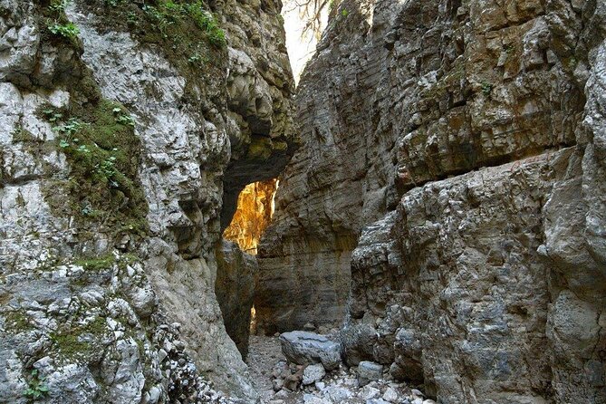 Trekking Unknown Gorges in the Region of Rethymno - Wildlife Encounters in the Gorges