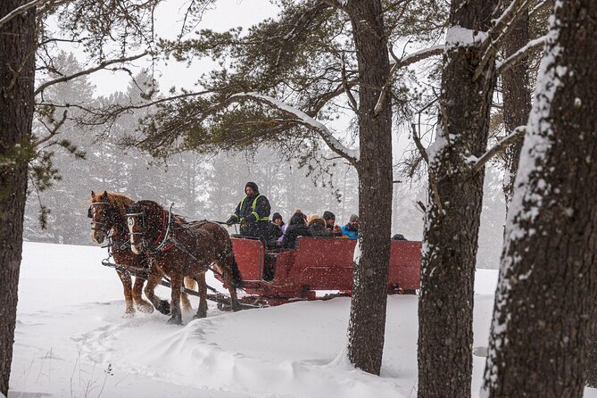 Tremblant Sleighride - Additional Information