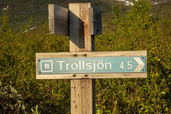 Trollsjön Guided Day Tour - Health and Accessibility Details