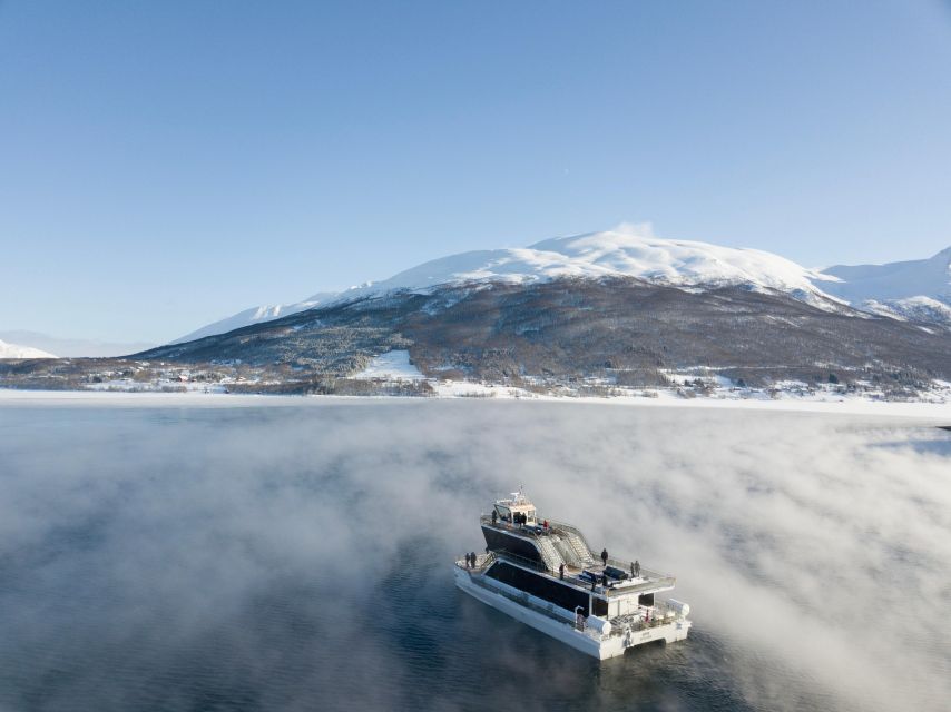 Tromsø: Arctic Fjord Cruise by Hybrid-Electric Catamaran - Review Summary