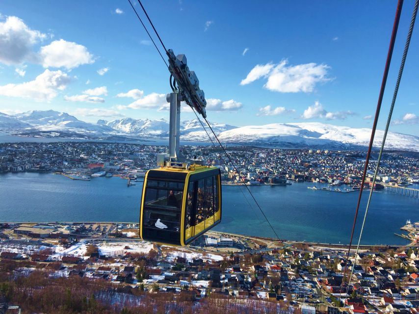 Tromsø: Arctic Panorama Fjellheisen Cable Car Ticket - Customer Reviews