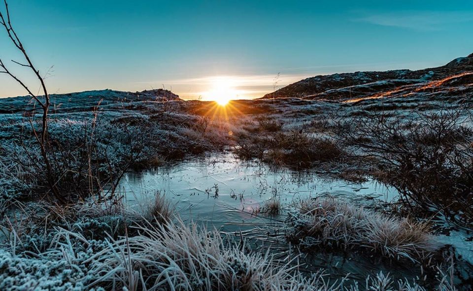 Tromsø: Arctic Sightseeing Tour & Citizen Science Project - Booking Information