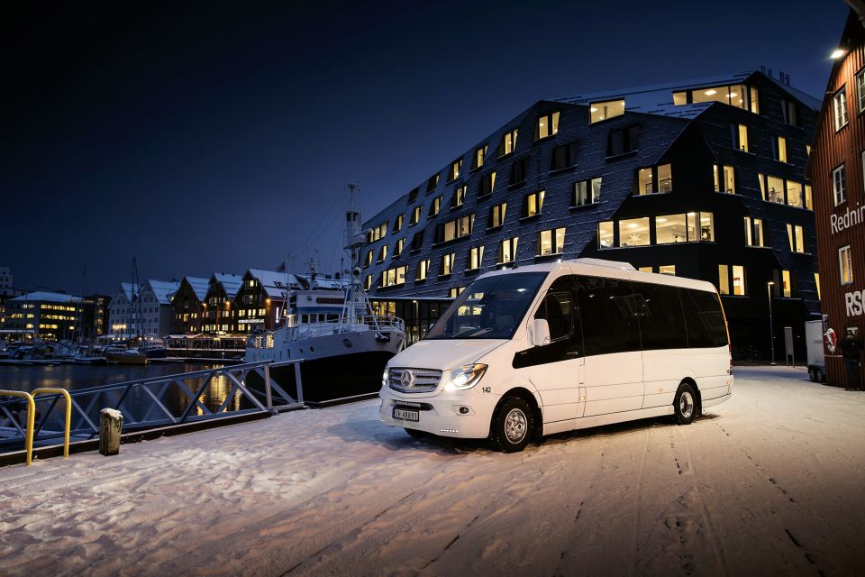 Tromsø: Aurora Borealis Chase With Guide, Meals & Campfire - Live Tour Guide Information