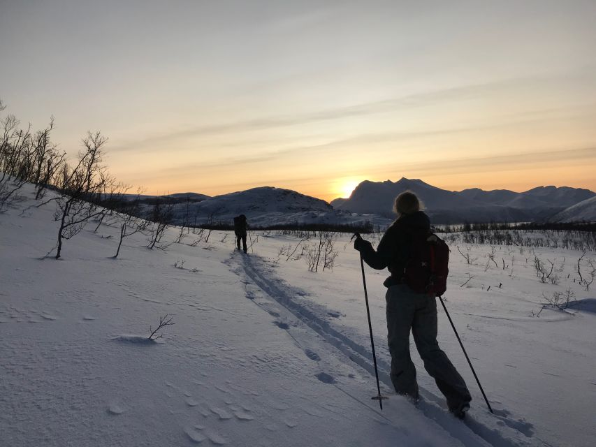 Tromsø: Beginners Guided Backcountry Cross-Country Skiing - Experience Highlights