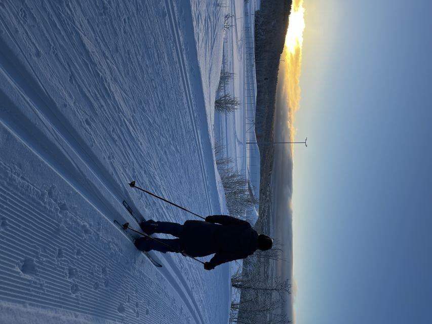 Tromsø: Cross Country Course With a Guide and Views - Participant Information and Meeting Point