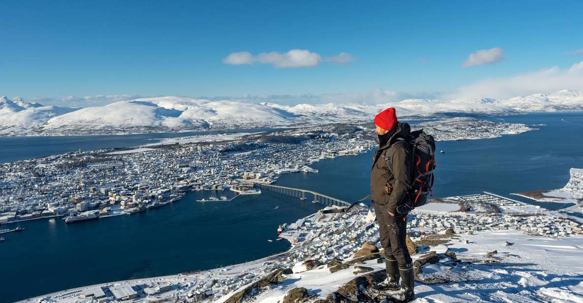 Tromsø: Daytime Fjellheisen Snowshoe Hike and Cable Car Ride - Meeting Point and Ratings
