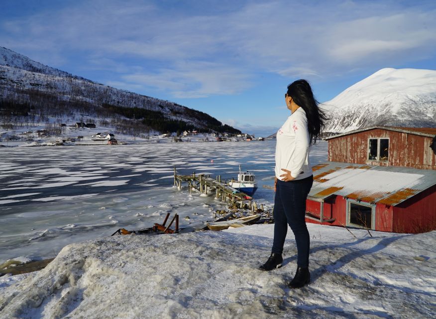 Tromsø: Fjord Sightseeing in a Tesla X Luxury Electric Car - Customer Reviews