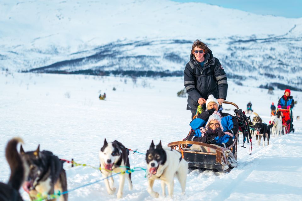 Tromsø: Guided Husky Sledding With Traditional Lunch - Review Summary