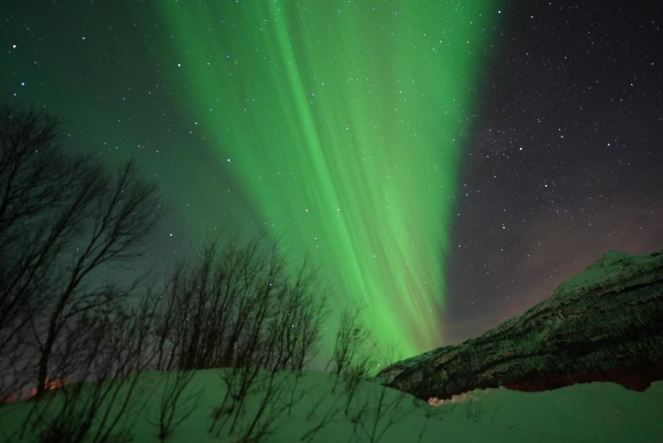 Tromsø: Guided Tours to See the Northern Lights: - Customer Satisfaction