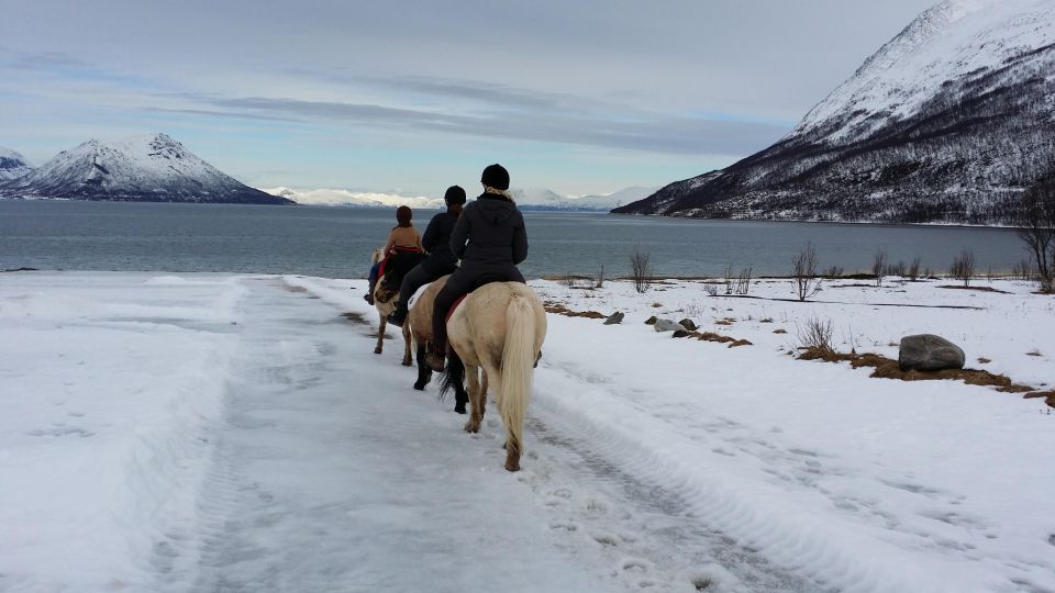 Tromsø: Lyngen Horseback Riding Experience - Itinerary