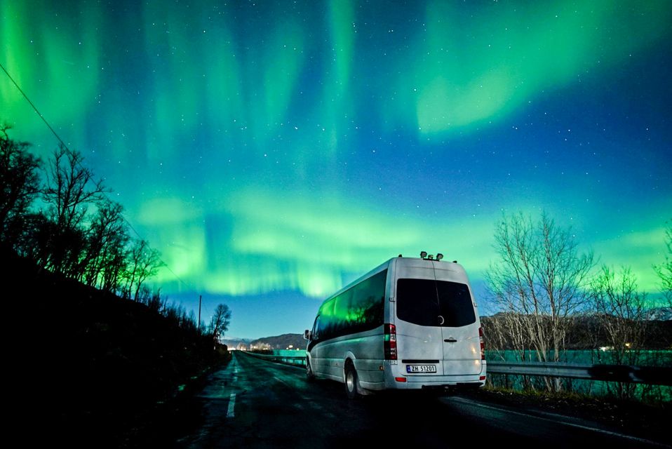 Tromsø: Northern Lights Chase Minibus Tour With Campfire - Logistics & Services