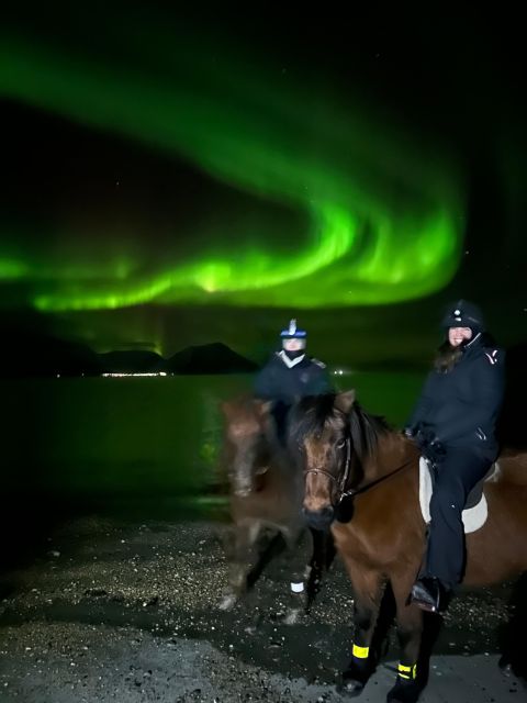 Tromsø: Northern Lights Horse Ride Photo Trip - Highlights