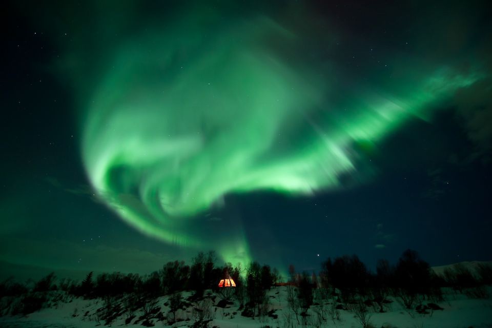 Tromsø: Northern Lights Husky Visit With Traditional Dinner - Inclusions