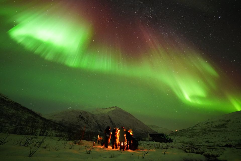Tromsø: Northern Lights Tour With Free Professional Portrait - Tour Inclusions