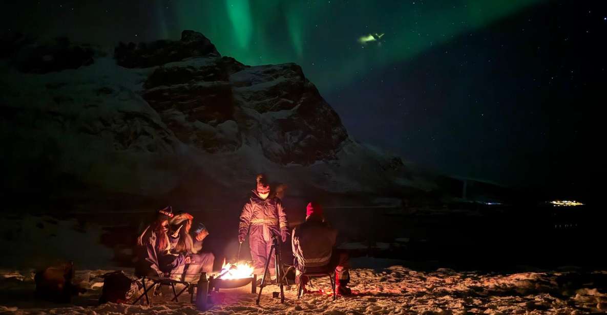 Tromsø: Northern Lights Tour With Hot Food and Drinks - Tour Description