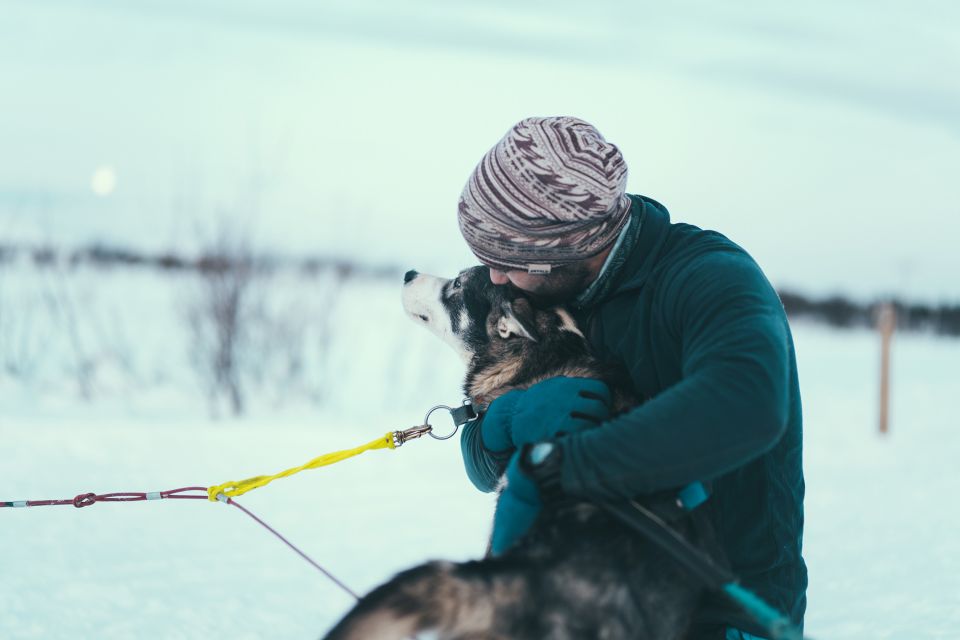 Tromsø: Self-Drive Husky Dog Sledding Adventure - Meeting Point Information