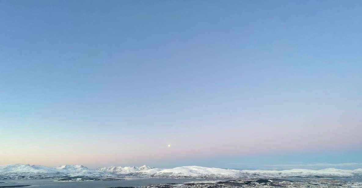 Tromso: Sightseeing Cruise by Catamaran With Snacks & Drinks - Customer Reviews