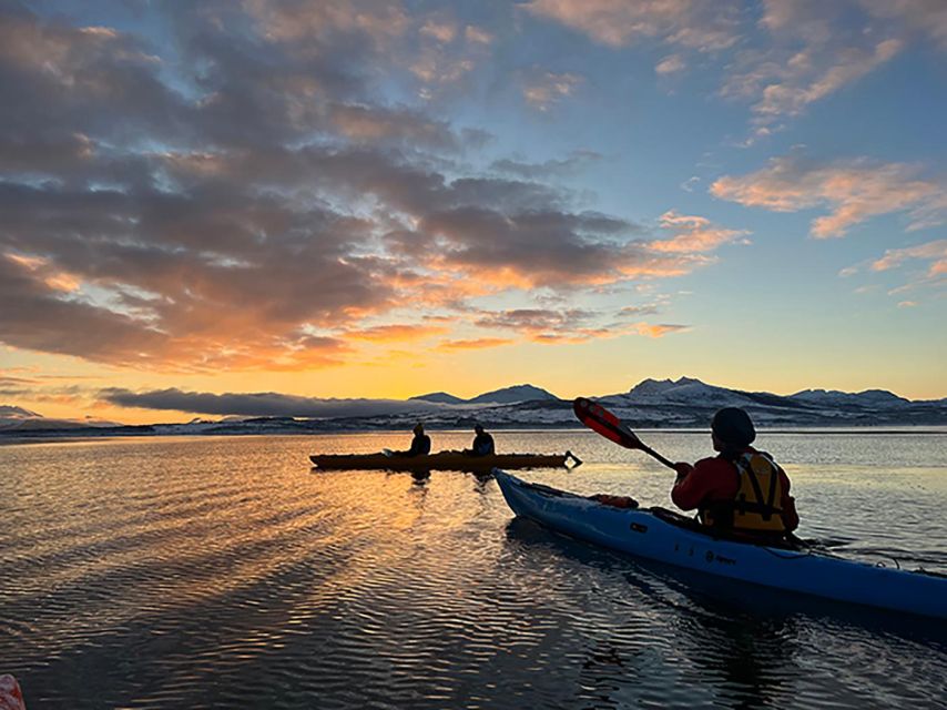 Tromsø: Winter Sea Kayaking Tour With Wildlife Sightings - Experience Highlights