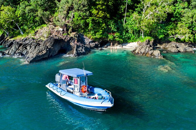 Tropical Dunk Island Half Day Activity in Queensland - Last Words