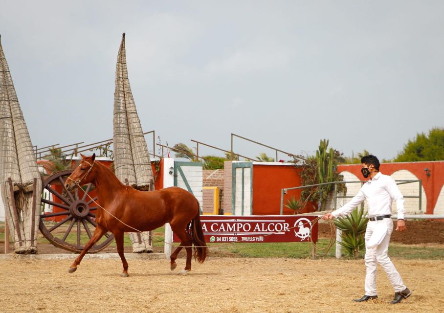 Trujillo: Chan Chan Walking Horses Huanchaco Entrance - Activity Highlights