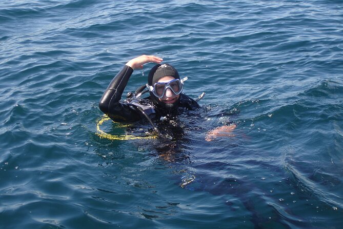 Try Dives - Discover Scuba Diving in Albufeira - Cancellation Policy and Weather Considerations