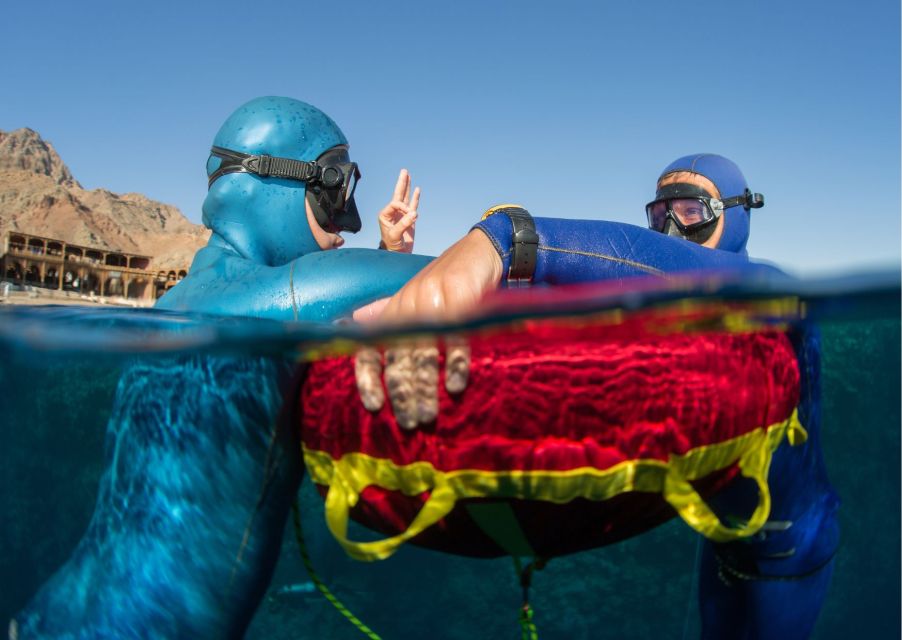 Try Freediving Experience in Arrábida Marine Reserve - Key Points