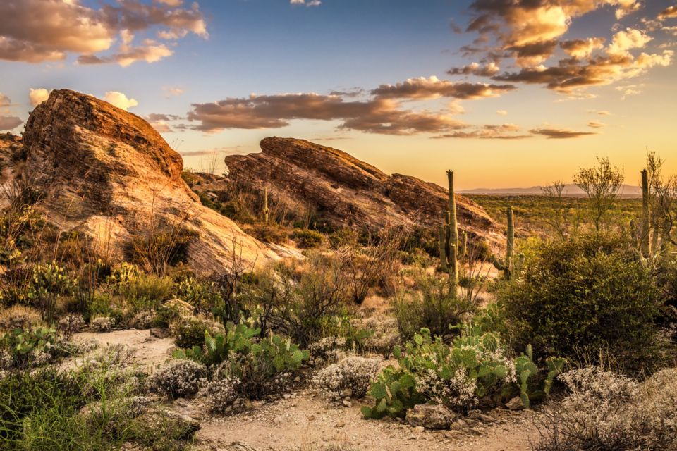Tucson: Mt Lemmon & Saguaro NP Self-Guided Bundle Tour - Inclusions