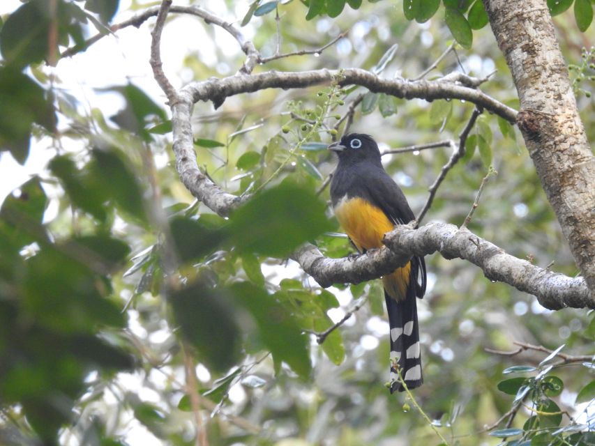 Tulum: Sian Ka'an Biosphere Reserve Guided Birdwatching Hike - Customer Reviews