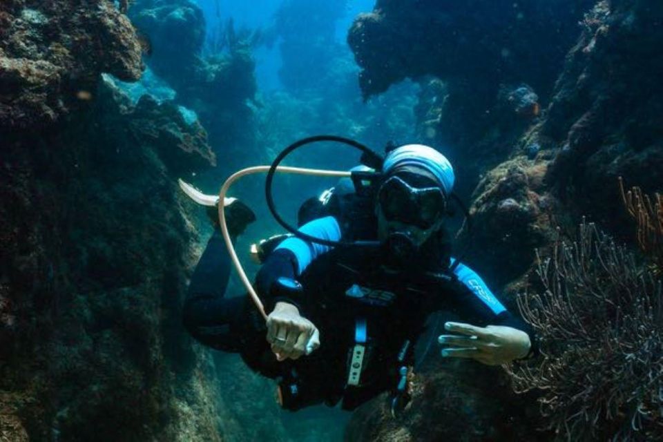 Tulum: Try Scuba Diving Adventure - Explore Cenotes and Underwater Landscapes