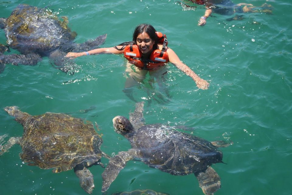 Tumbes: Beach Circuit and Swimming With Turtles - Mancora Pier Turtle Interaction