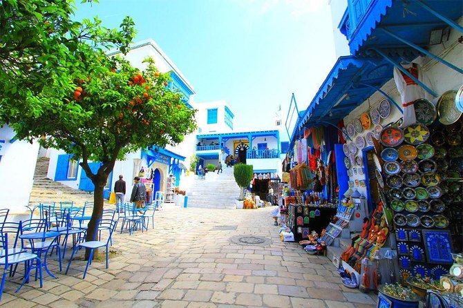 Tunisia 6 Days 5 Nights Private Tour ( Free SIM Card 24h Customer Service) - Transportation and Tour Guides