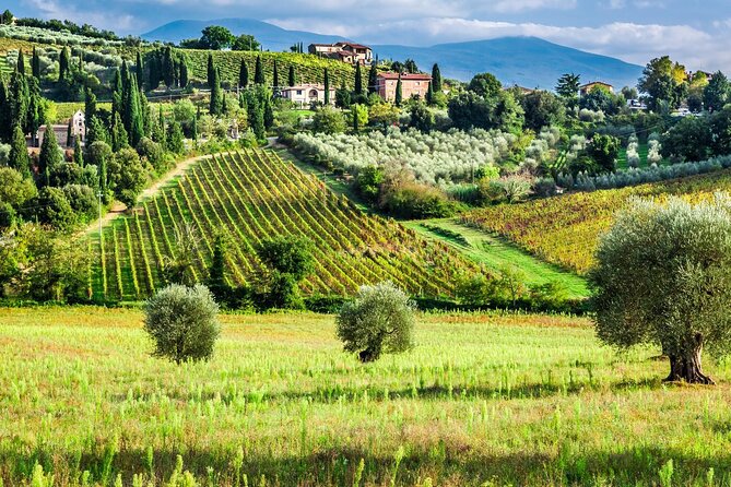 Tuscany Private Tour With Wine and Cheese Tasting From Florence - Booking and Logistics