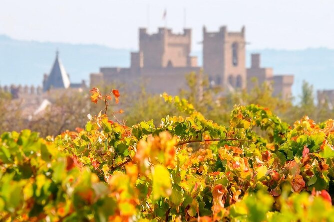 Two Winerie Visits in La Rioja and Walking Tour of La Guardia - La Rioja Vineyard Tour