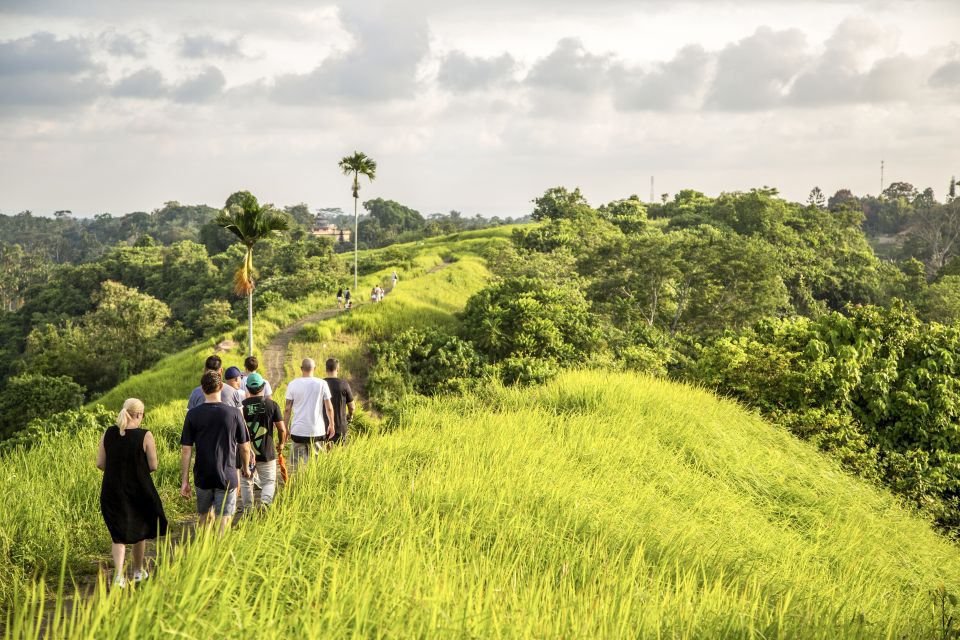 Ubud: 3-Hour Walking Tour With Lunch - Experience Details