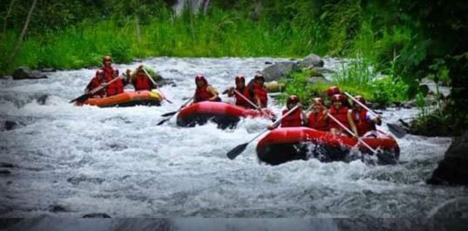 Ubud : Adventure of Ayung River Rafting All Inclusive - Adventure Highlights