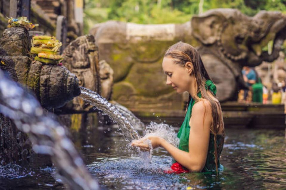 Ubud and Kintamani With Holy Water Temple Private Tour - Booking Details