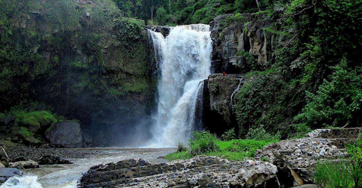 Ubud & Canggu: Rice Terrace, Waterfall & Black Sand Beach - Inclusions