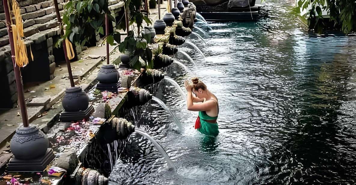 Ubud: Holy Water Temple Cleansing and Hidden Waterfall Tour - Activity Highlights and Itinerary