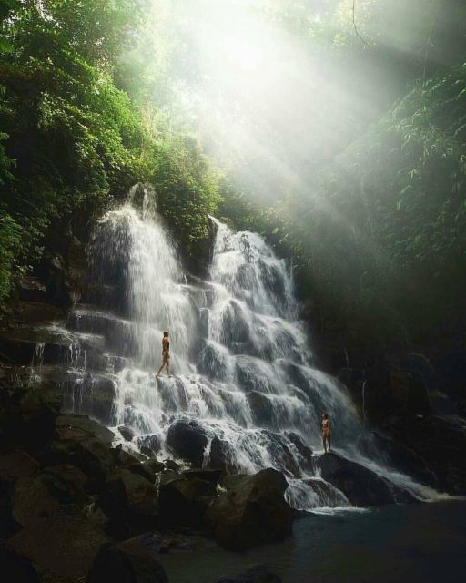 Ubud Scenic Waterfalls, Temple With Coffee - All Inclusive - Tegalalang Rice Terrace