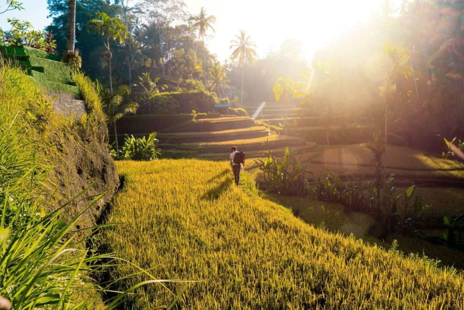 Ubud Twilight: Rice Terraces, Art, & Cultural Feast - Indulge in Balinese Culinary Delights