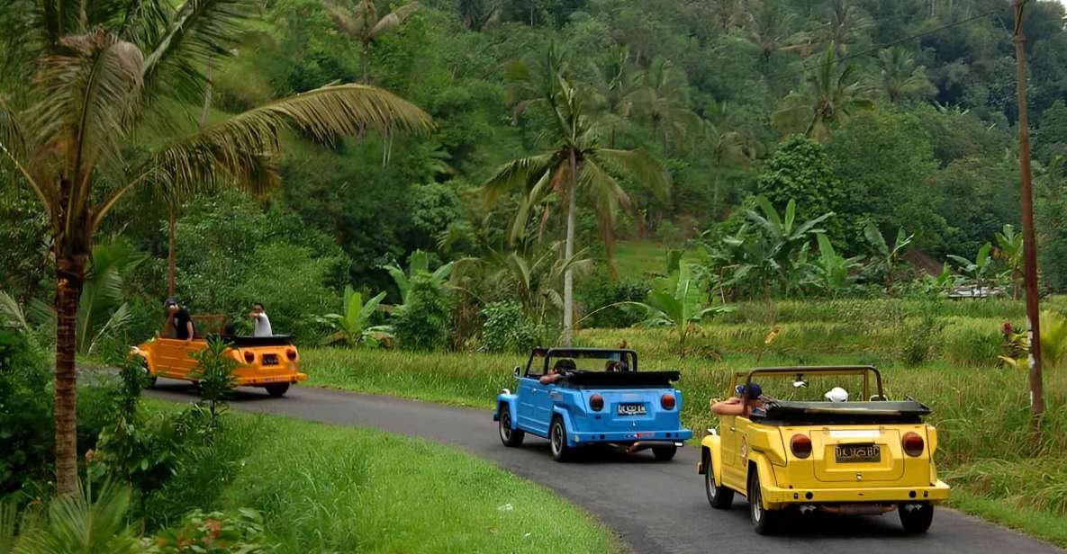 Ubud VW Safari Bali Tour - Tour Highlights