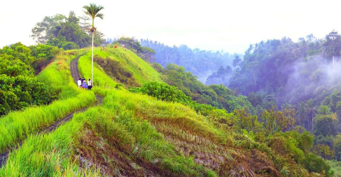 Ubud's Campuhan Ridge Walk: A Self-Guided Audio Tour - Inclusions