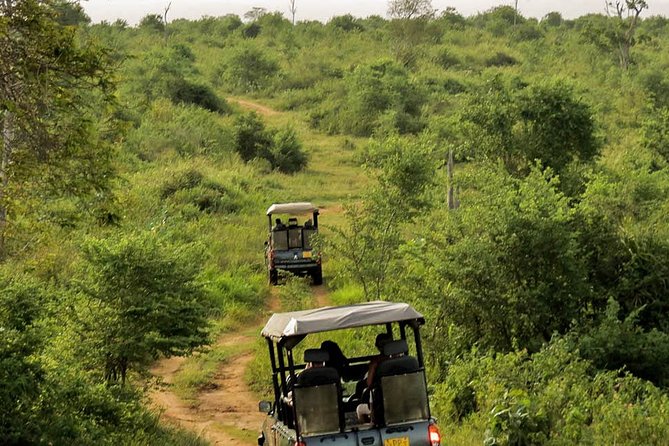 Udawalawe National Park Entrance Ticket - Additional Information for Visitors