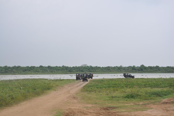 Udawalawe National Park Safari From Bentota - Booking Process Overview