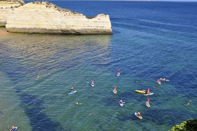 Unique Stand Up Paddle Experience! - Traveler Reviews and Ratings