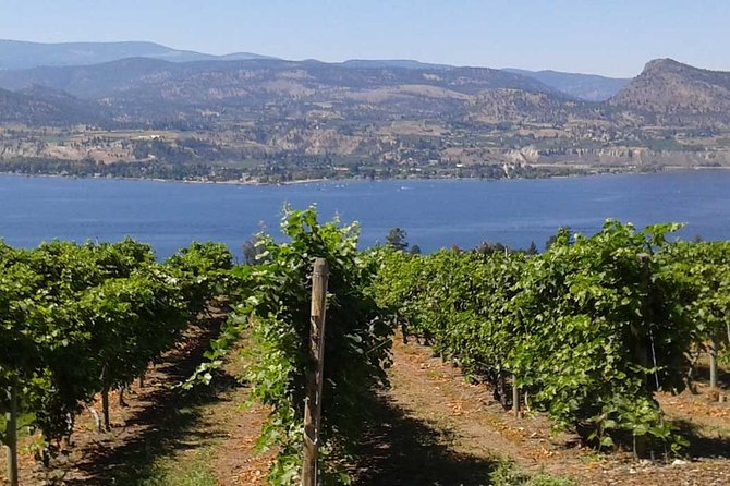 Unmatched Private Wine Tours for Up to 11 in Kelowna Area - Included Amenities