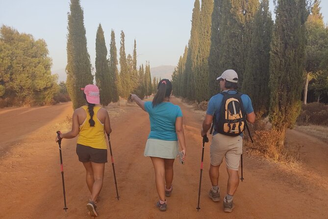 Urban Hiking, Dehesa Del Generalife. Around the Alhambra. Granada - Tour Details and Requirements