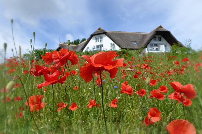 Usedom Private Walking Tour With A Professional Guide - Tour Itinerary