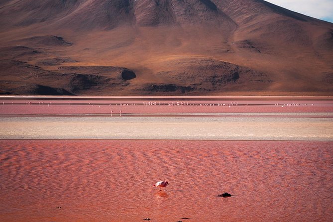 Uyuni Salt Flats Private 3 Day Tour (Palacio Sal 5* & Tayka 3* Hotels) - Last Words